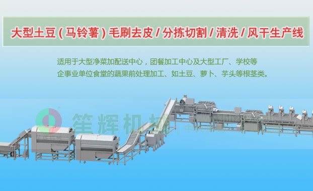 澄江连续式土豆去皮清洗切割风干生产线